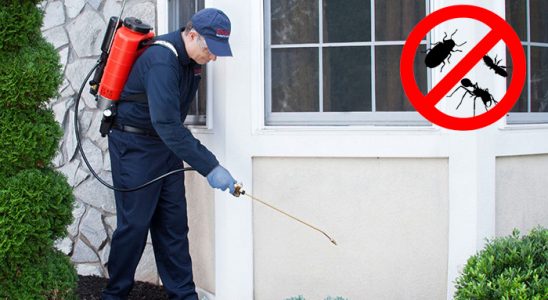 Süleymanpaşa Fare İlaçlama böcek ilaçlama ve haşere kontrolü — ilaclama-tr.com